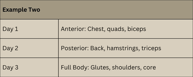 Example Two Day 1 Anterior: Chest, quads, biceps Day 2 Posterior: Back, hamstrings, triceps Day 3 Full Body: Glutes, shoulders, core